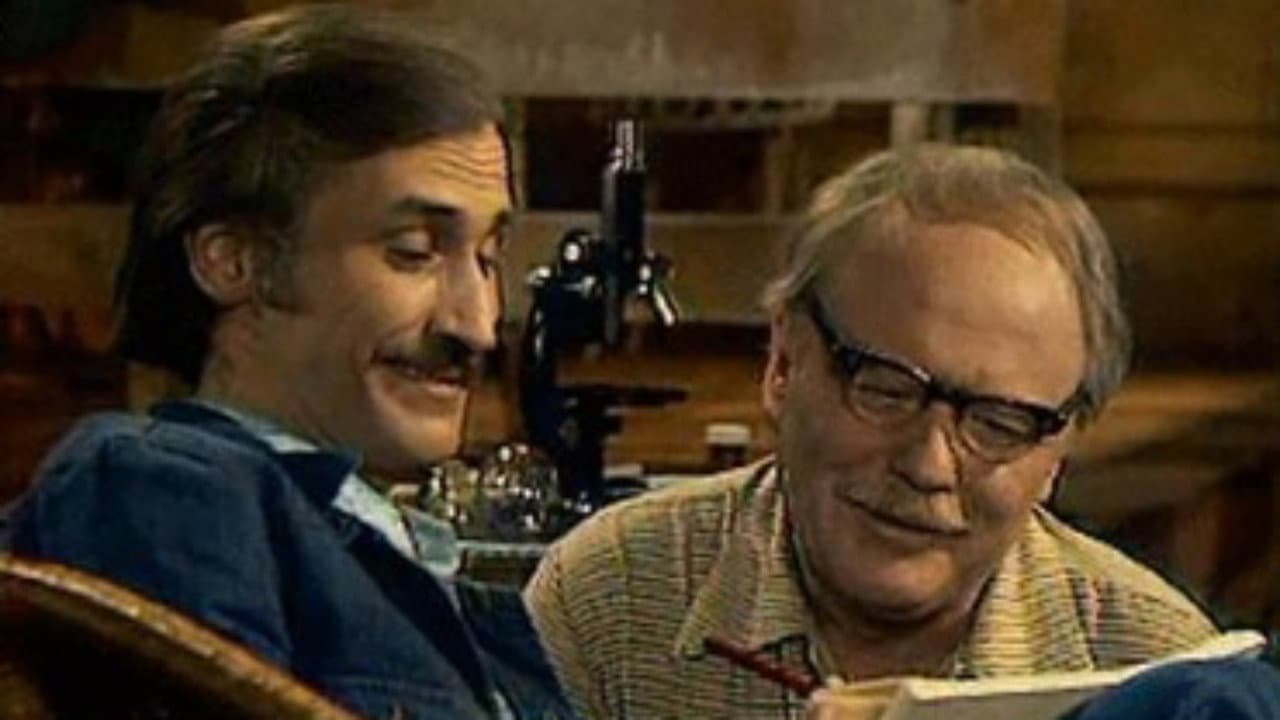 Eciton Burchellii backdrop