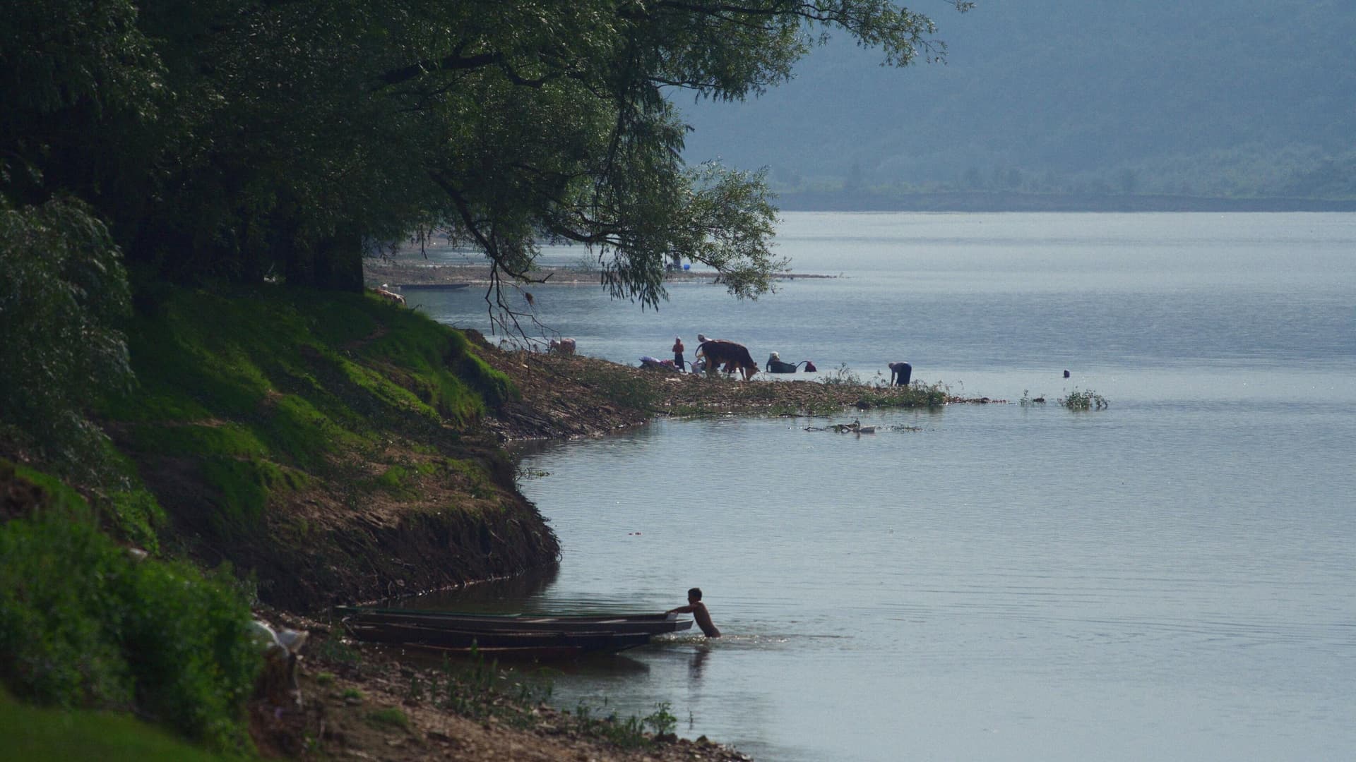 Silent Flood backdrop