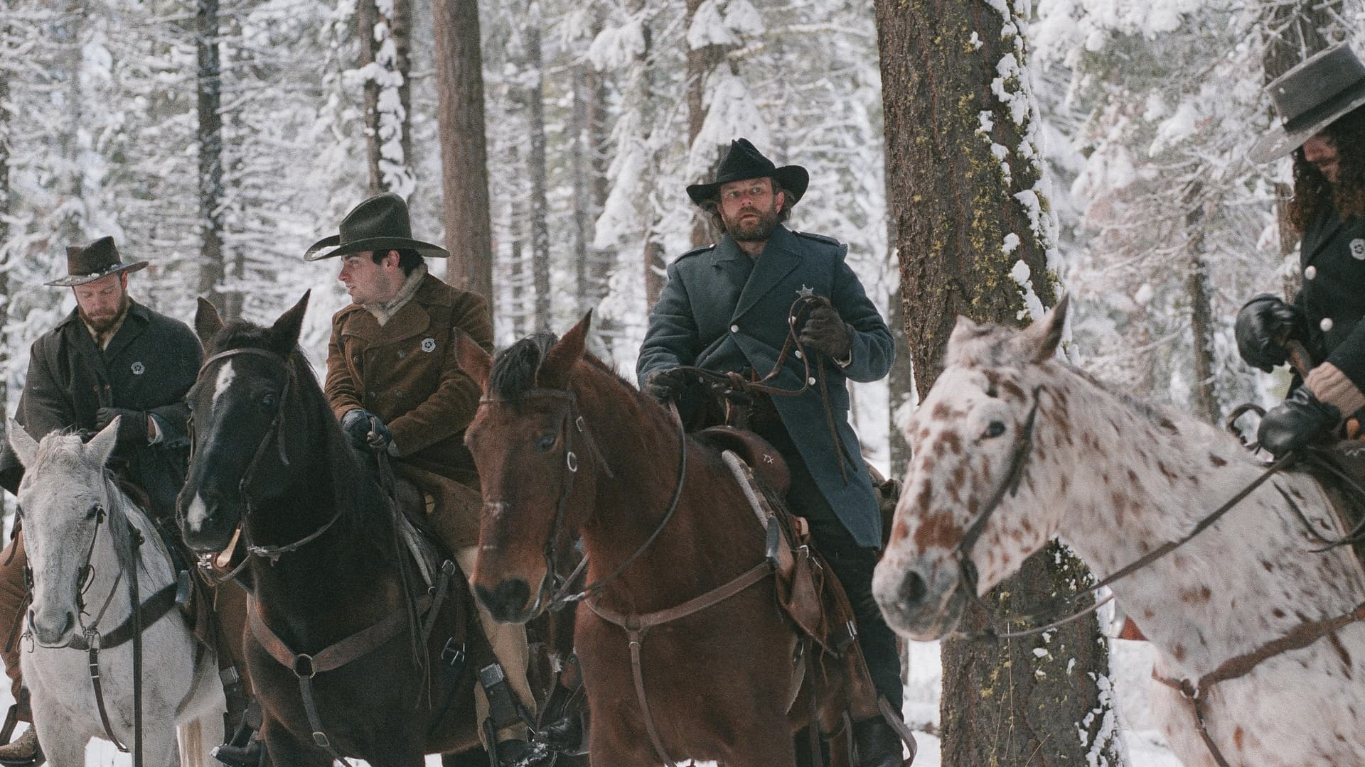 Low Midnight backdrop