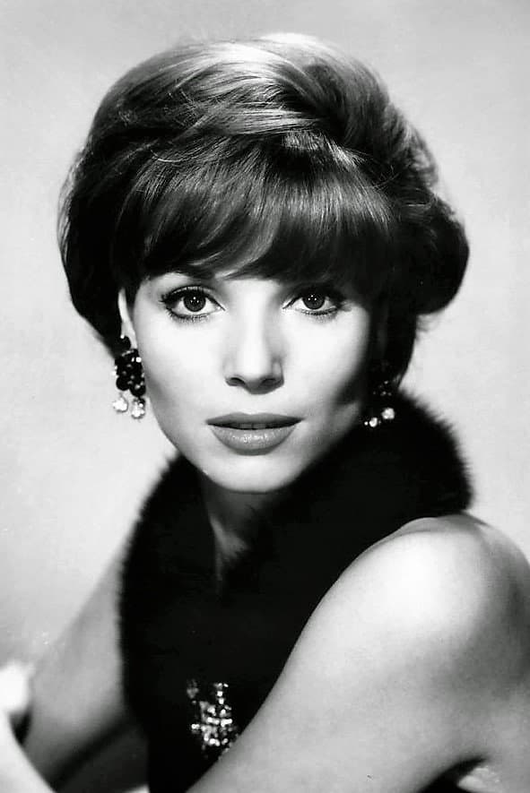 Elsa Martinelli profile
