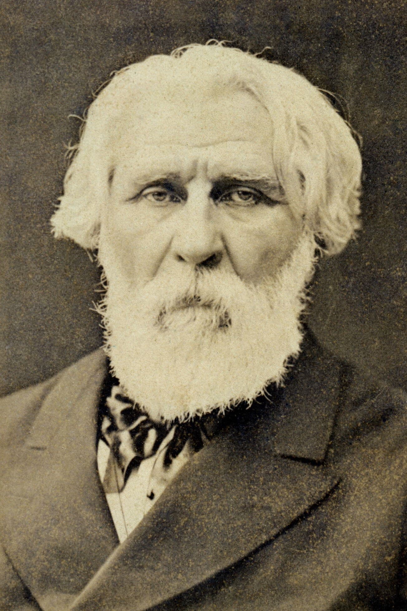 Ivan Turgenev profile