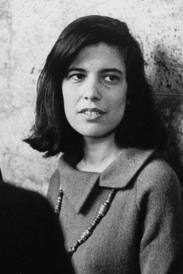 Susan Sontag profile