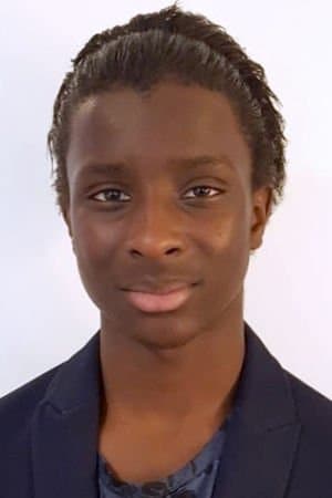 Vincent N'Diaye profile