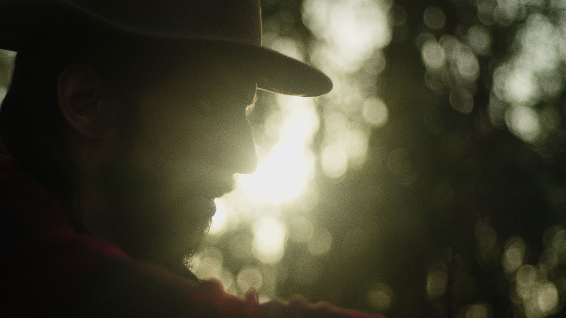 In The Devil's Den backdrop