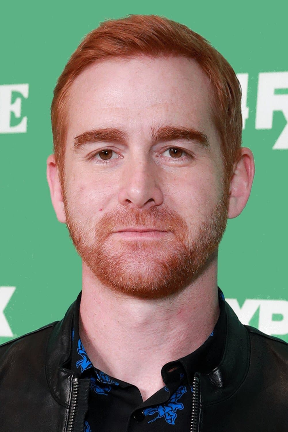Andrew Santino profile