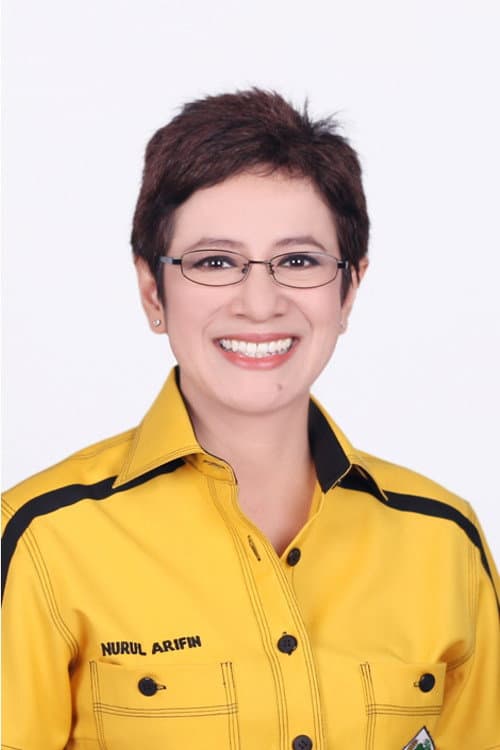 Nurul Arifin profile