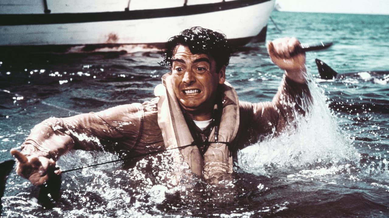 The Sharkfighters backdrop