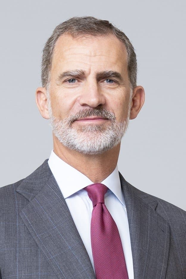 Felipe VI profile