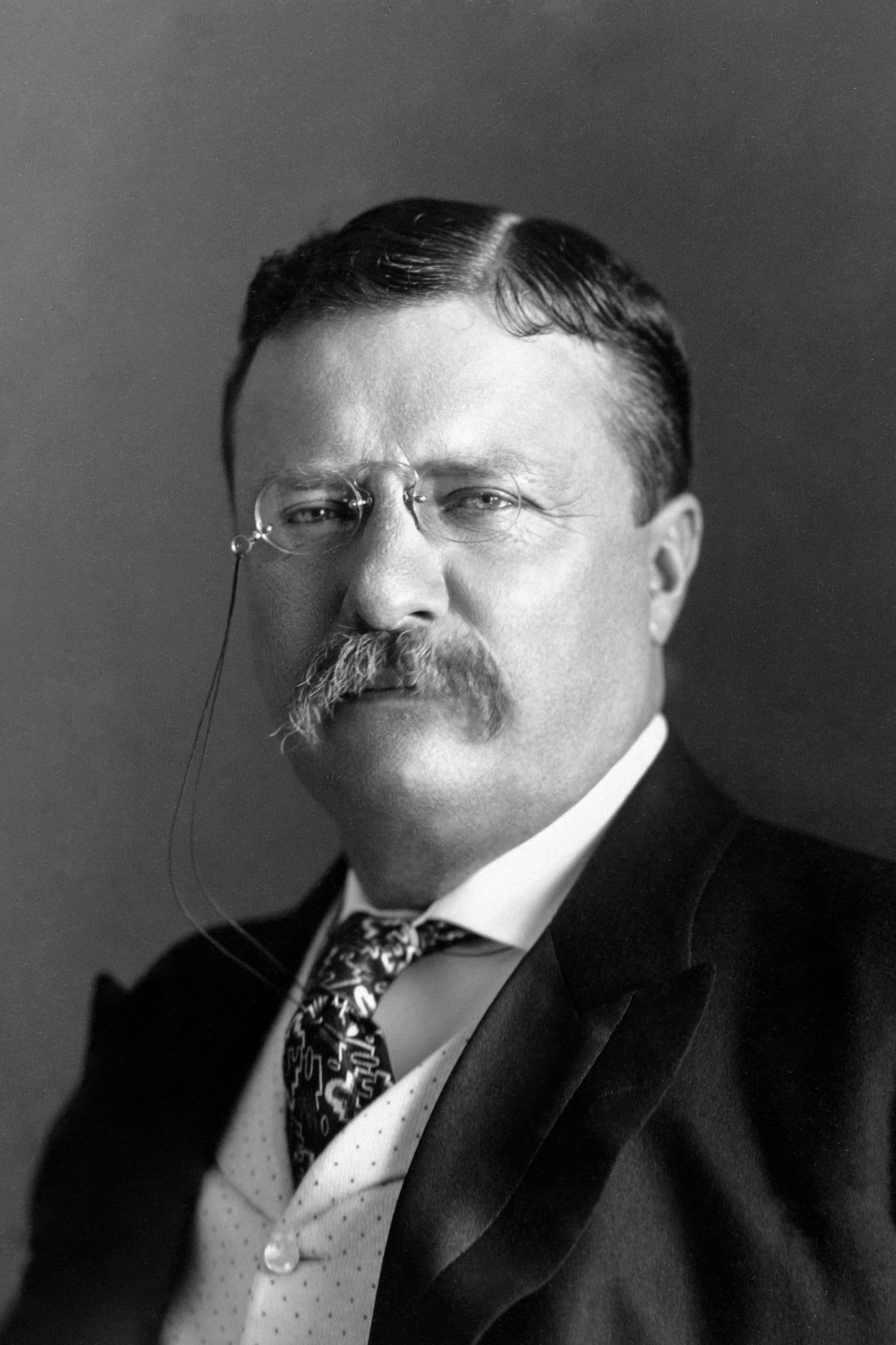 Theodore Roosevelt profile