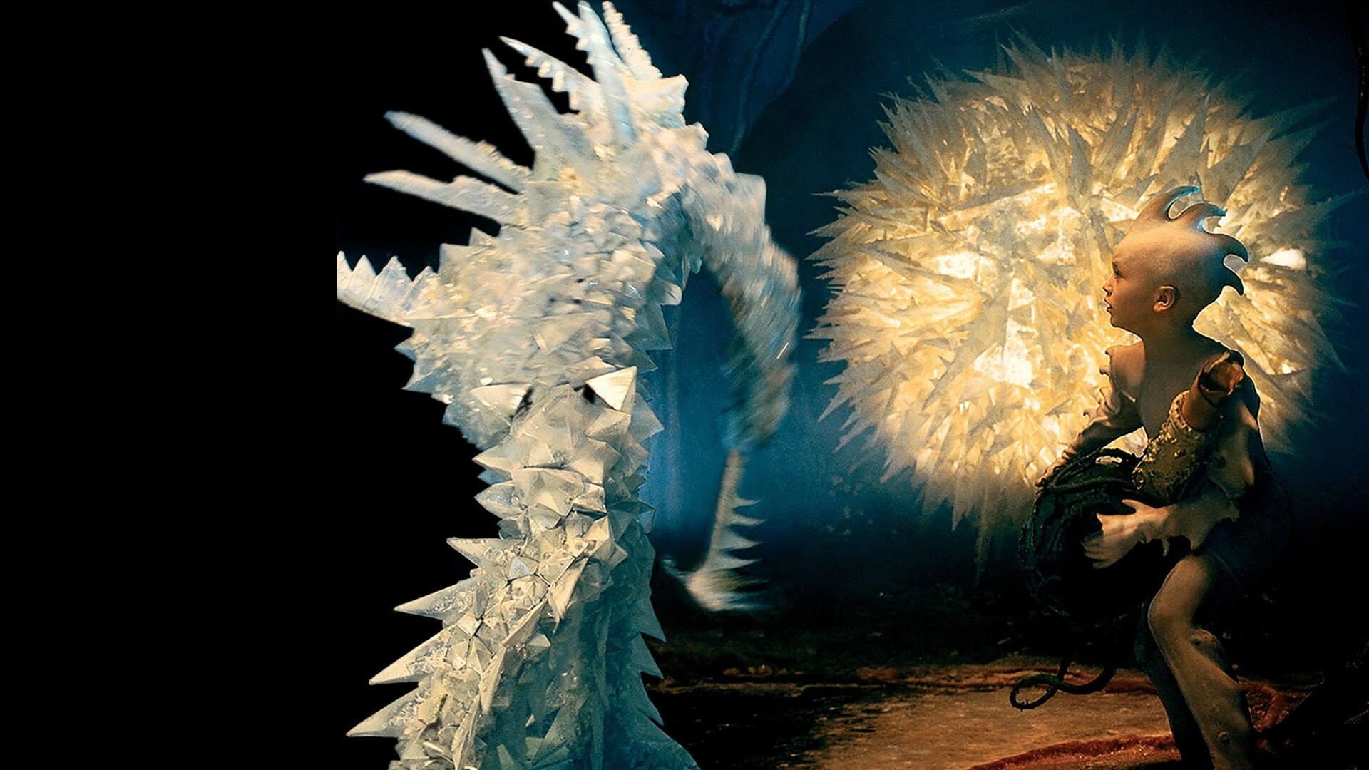 Chasing the Kidneystone backdrop