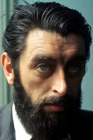 Ronnie Drew profile