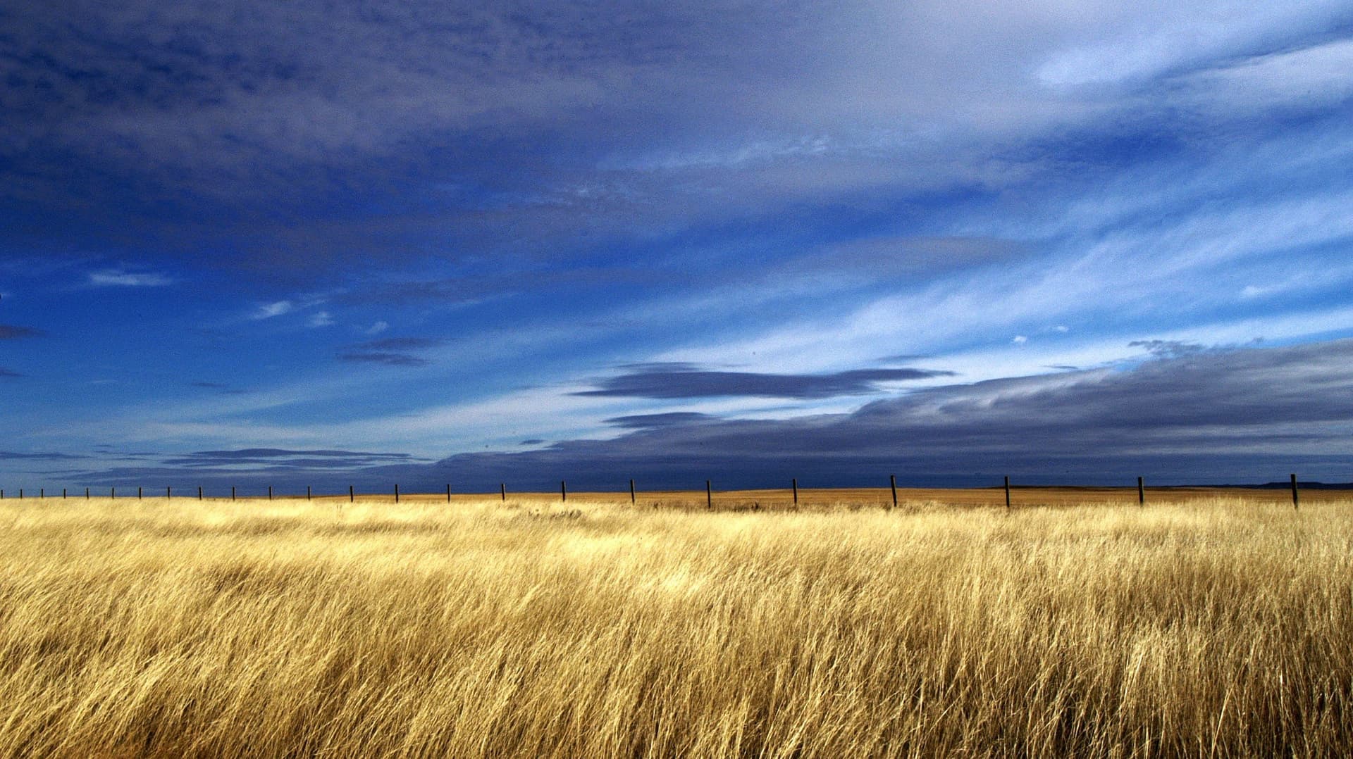 Sekoe: My Home backdrop