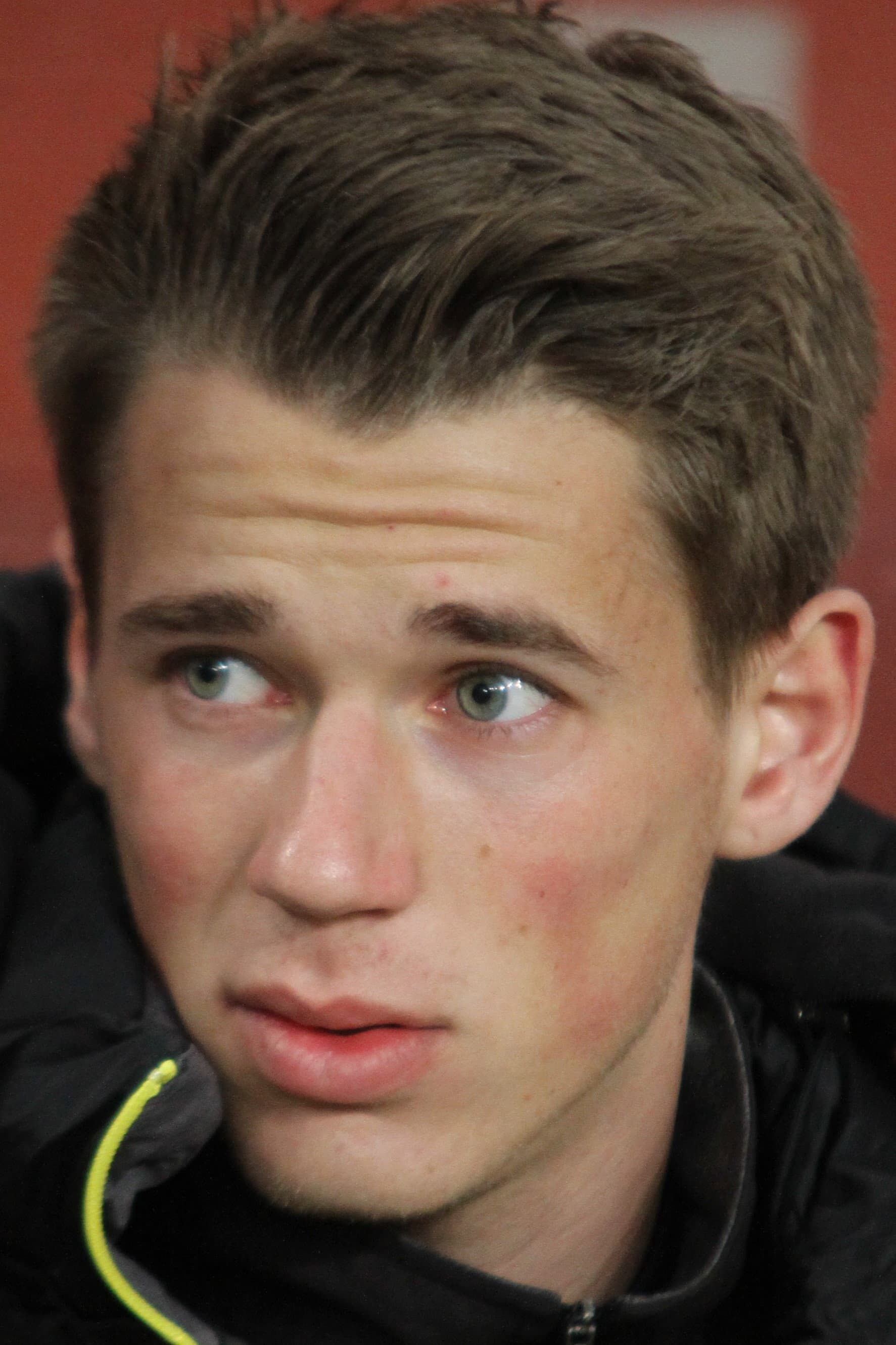 Erik Durm profile