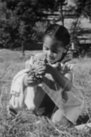 Gwendolyn Laster profile