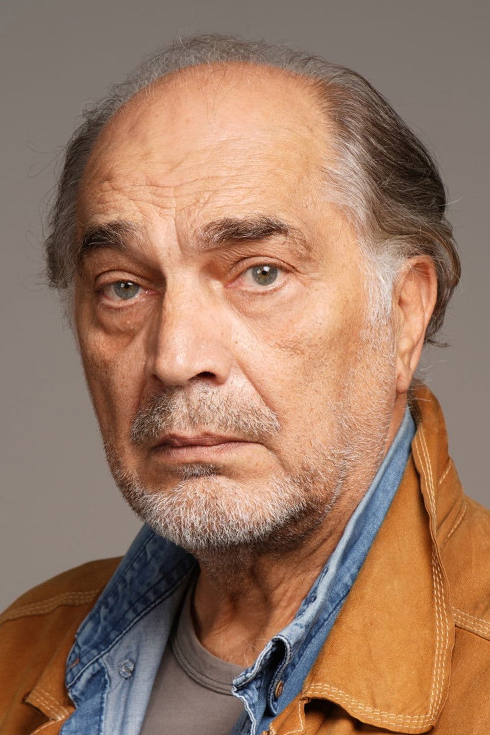 Vojislav Brajović profile