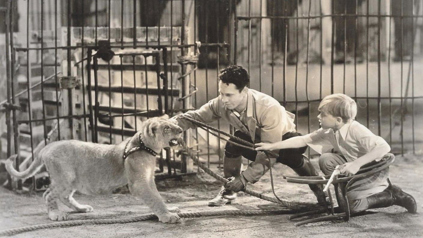 The Big Cage backdrop