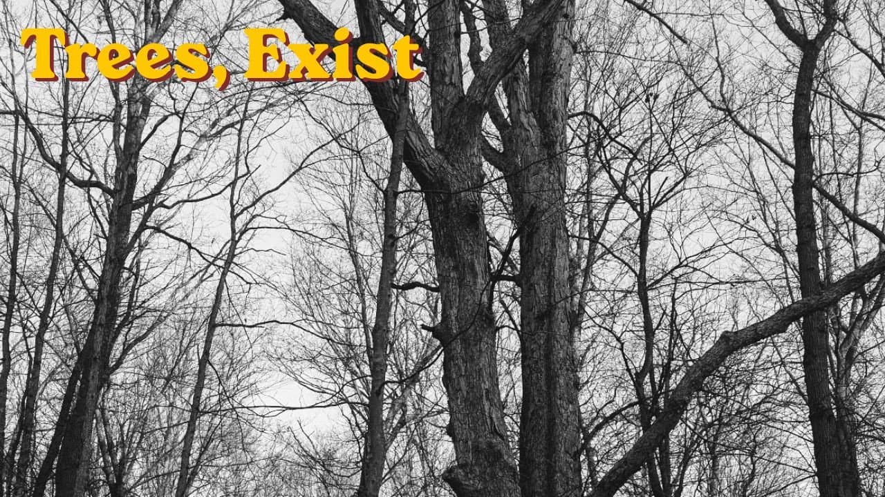 Trees, exist backdrop