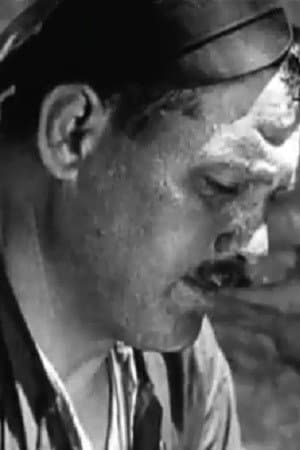 Sandro Kandelaki profile