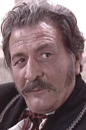 Furio Meniconi profile