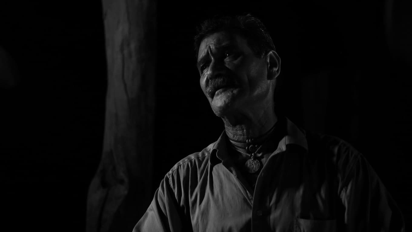 The Request backdrop