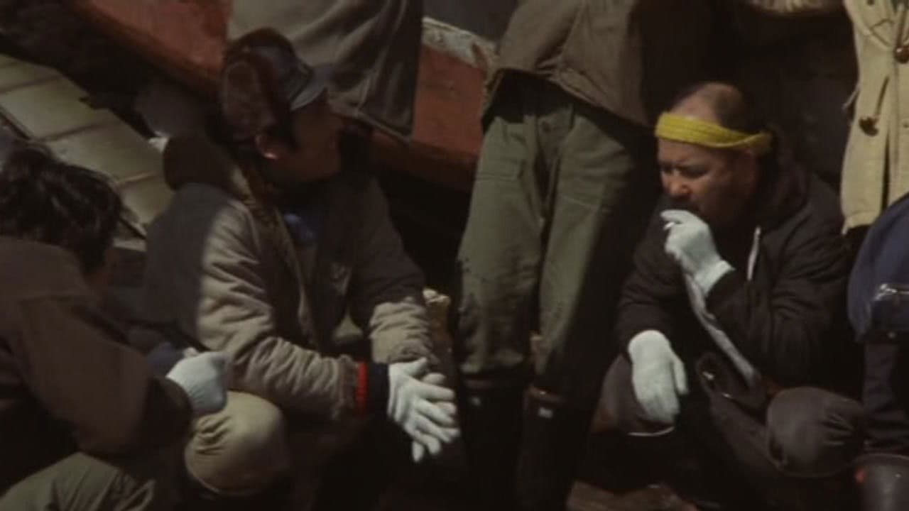 Light of Africa backdrop