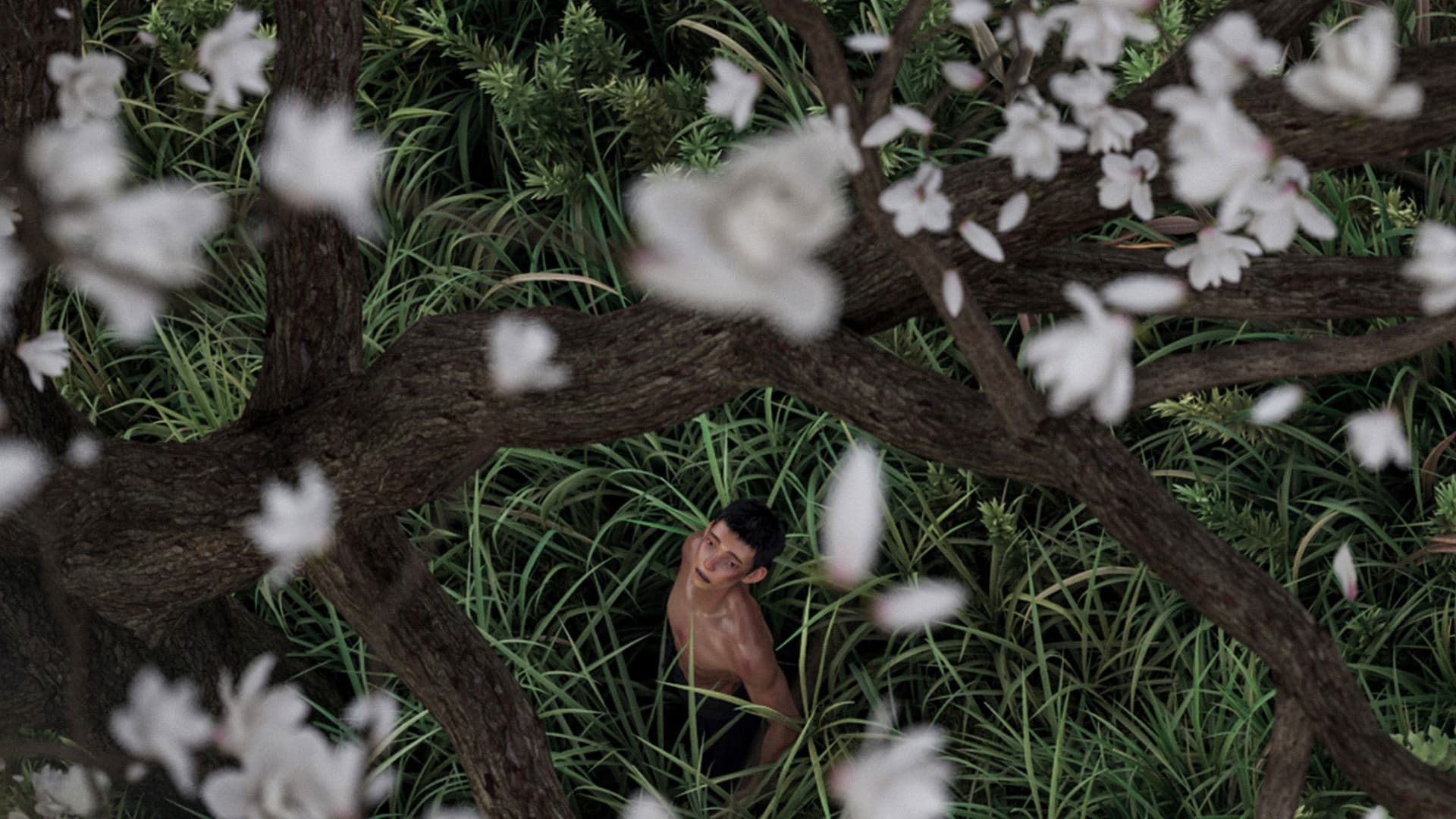 I Am What I Am 2 backdrop