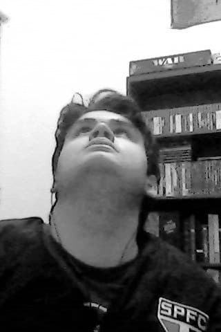 Rodolfo Luiz Vieira profile