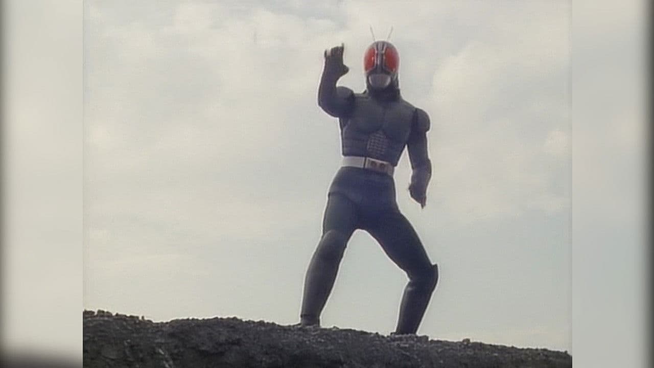 Kamen Rider 1 through RX: Big Gathering backdrop