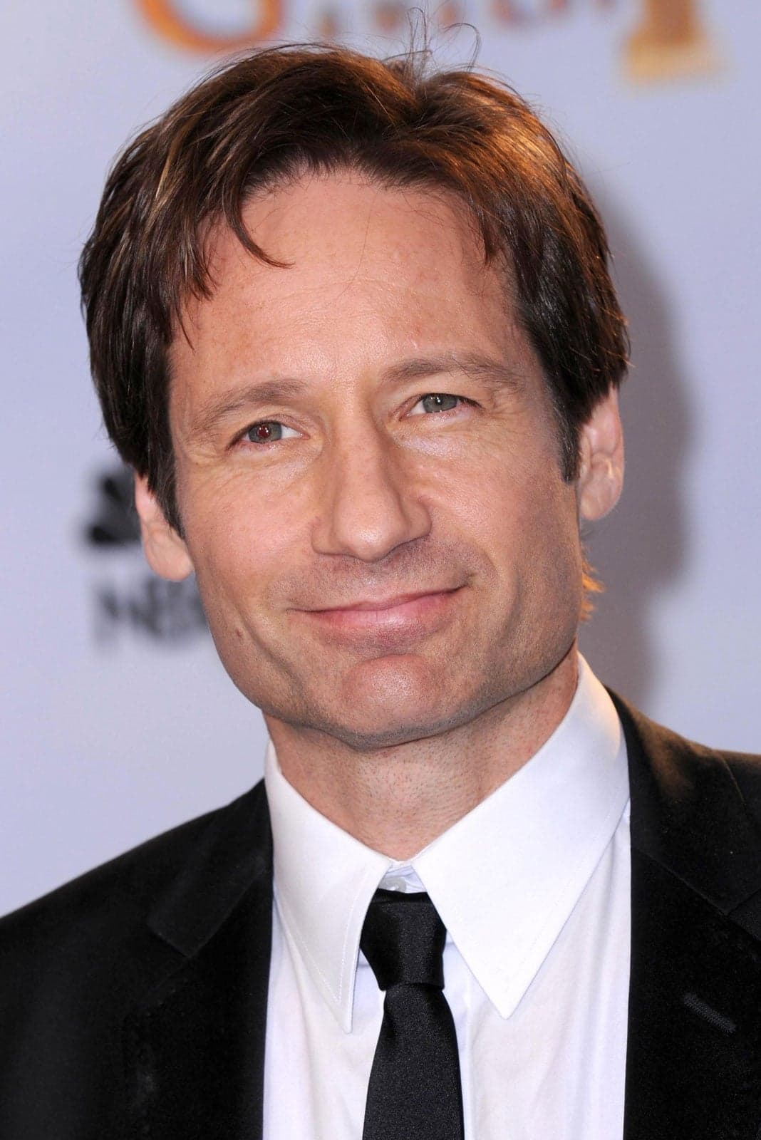 David Duchovny profile
