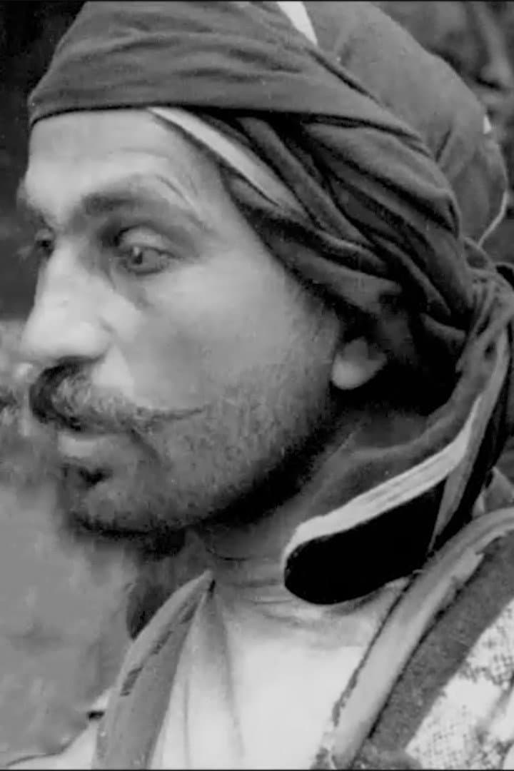 Vladimer Trapaidze profile