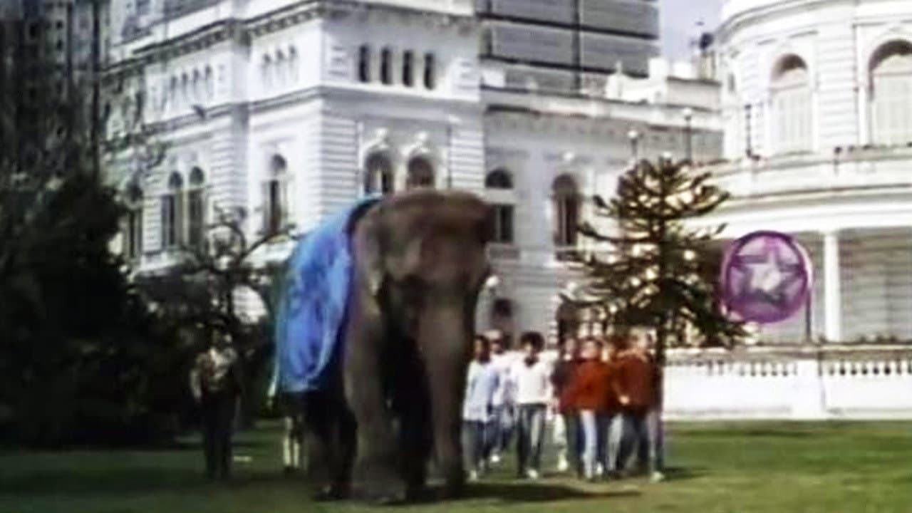 Un elefante en banda backdrop