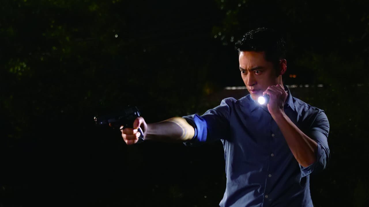 Chasing Mystery Crime backdrop