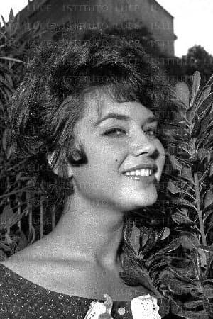 Stefania Sabatini profile