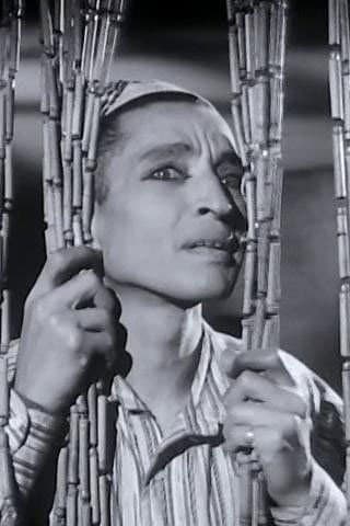 Mounir ElFangary profile