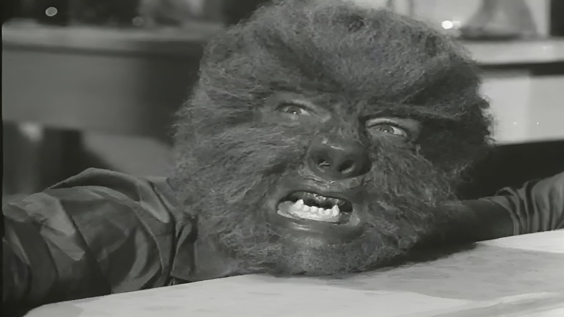 House of Terror backdrop