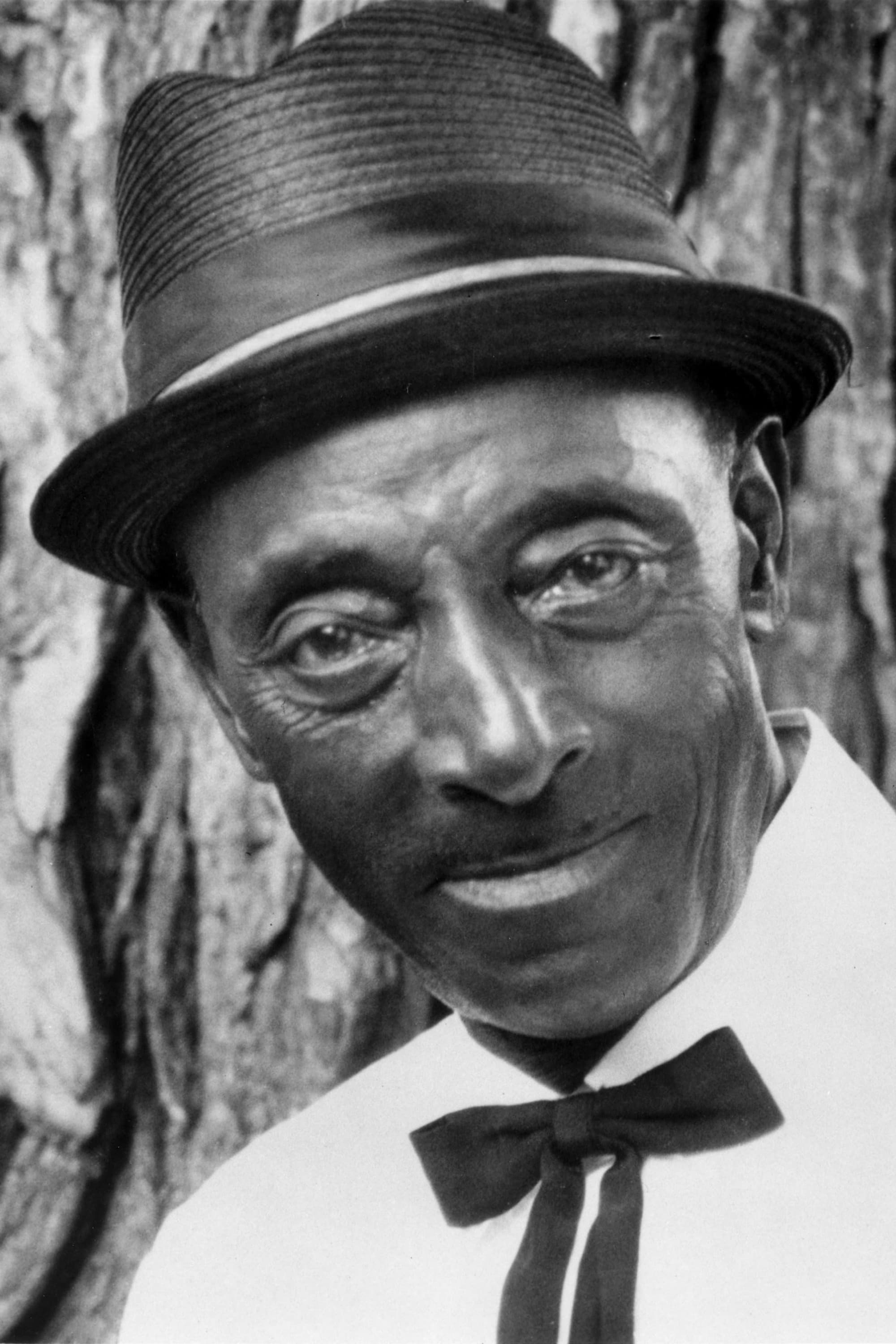 Fred McDowell profile