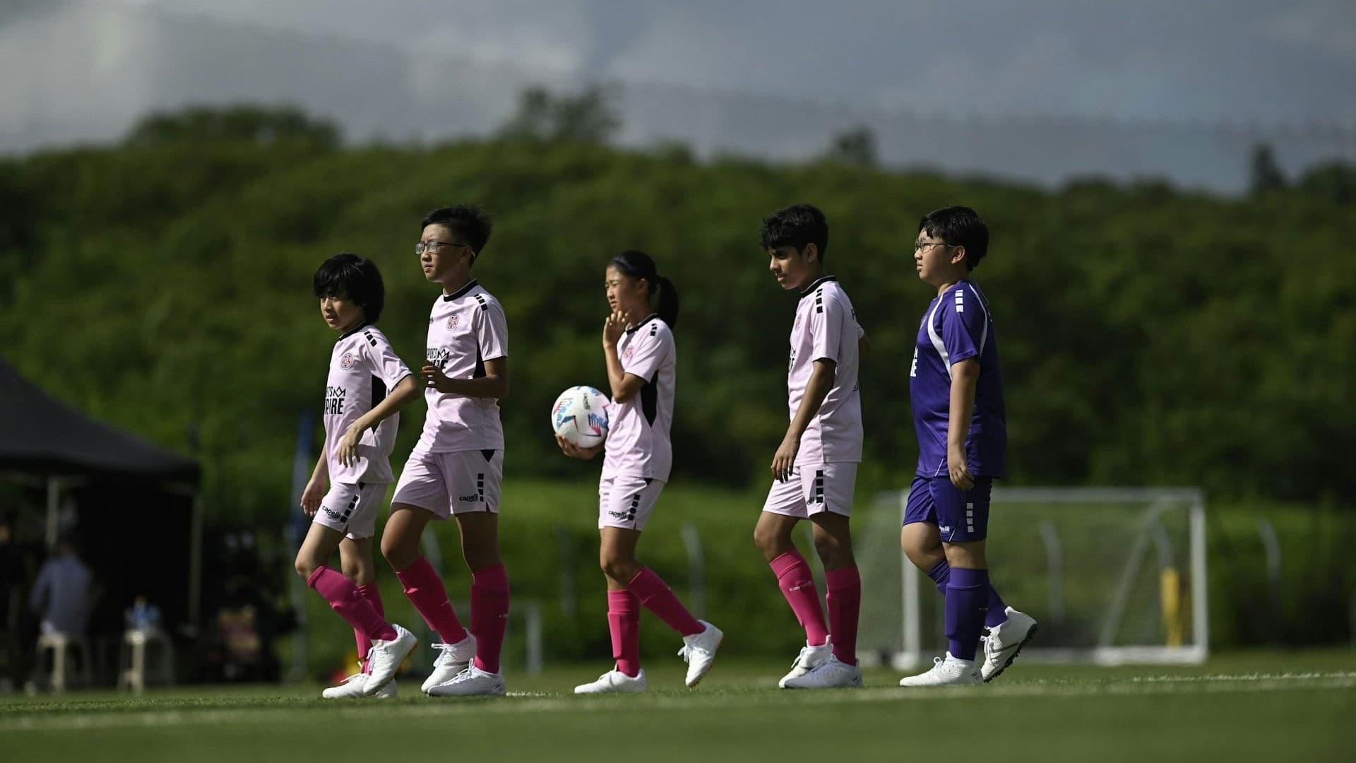 Pass and Goal backdrop