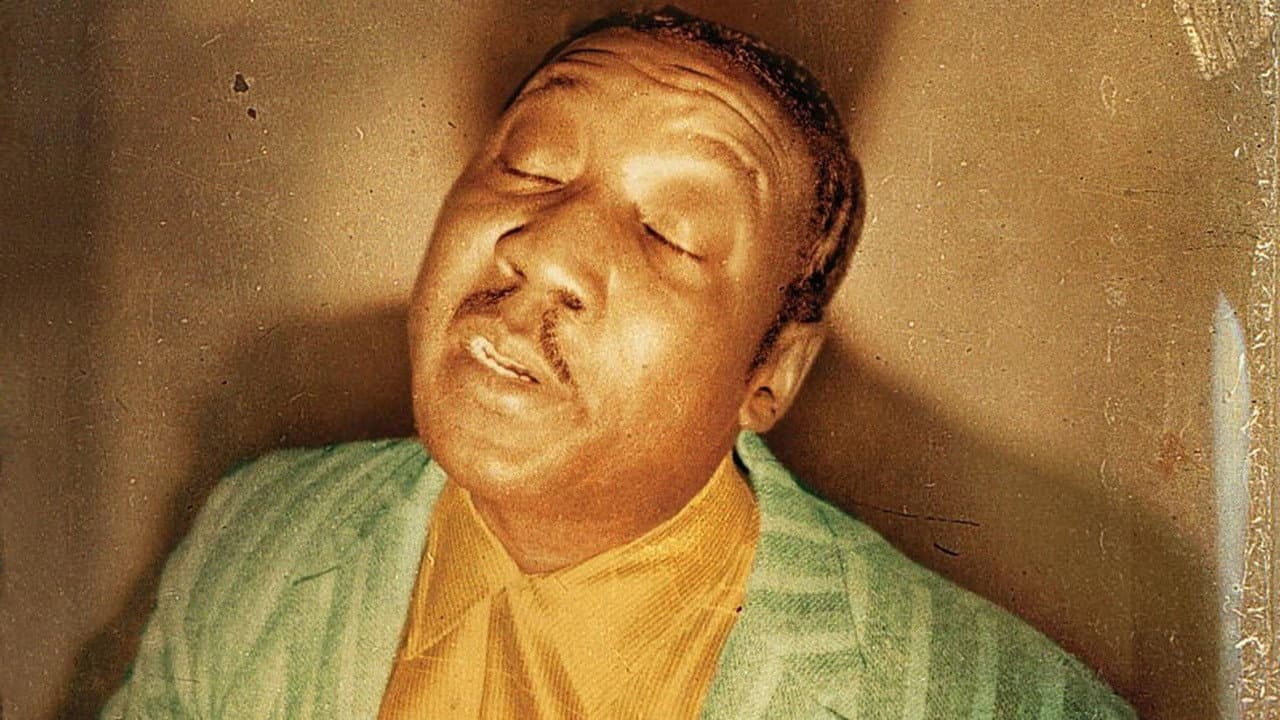 Muddy Waters: Can't Be Satisfied backdrop