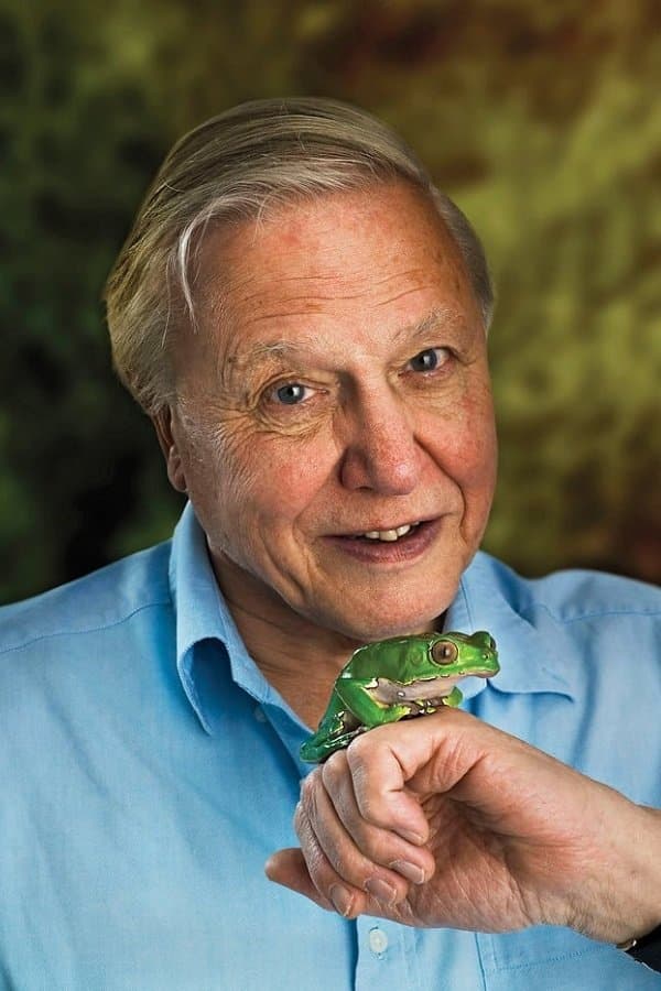 David Attenborough profile