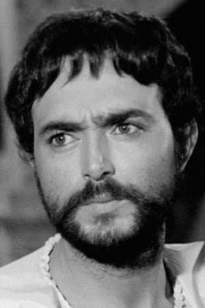 Aly Ben Ayed profile