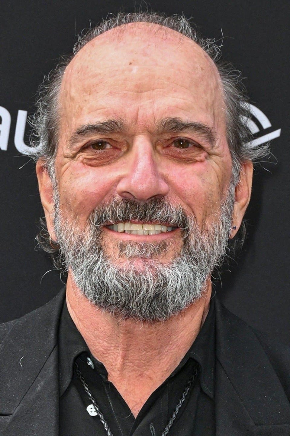 Aaron Lipstadt profile