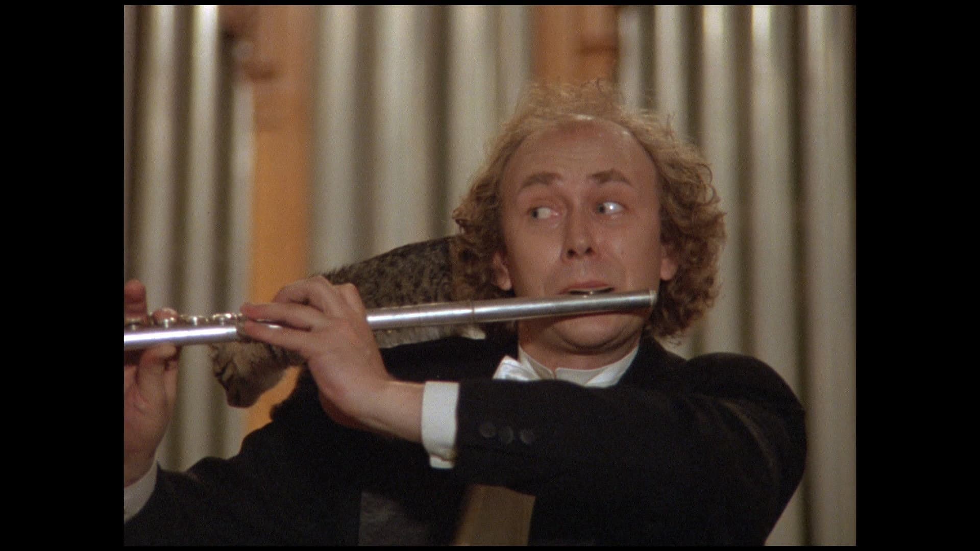 The Little Cat backdrop