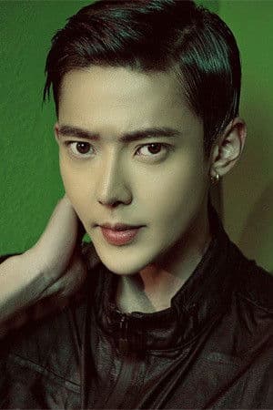 Xiao Xiangfei profile