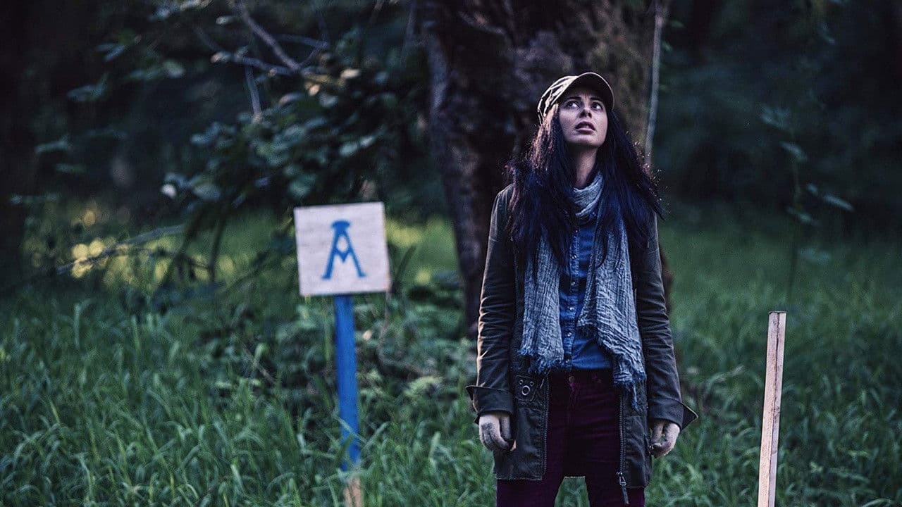 The Shasta Triangle backdrop