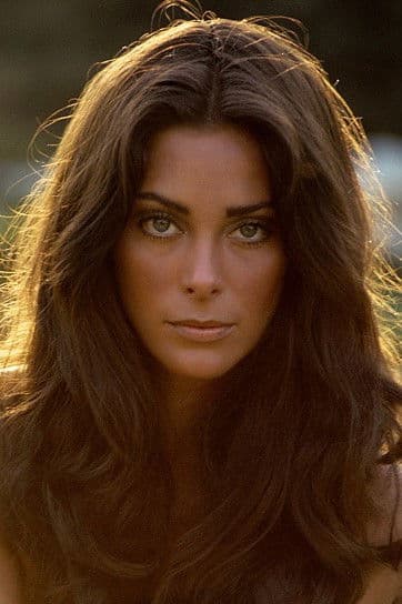 Paula Pritchett profile