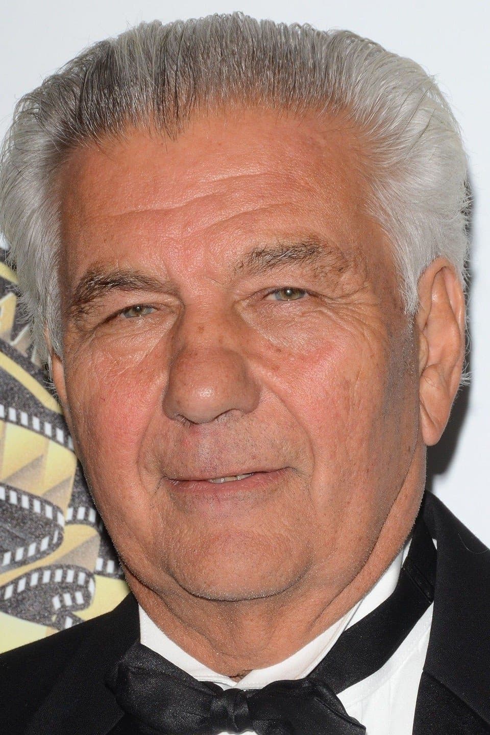 Matthew F. Leonetti profile