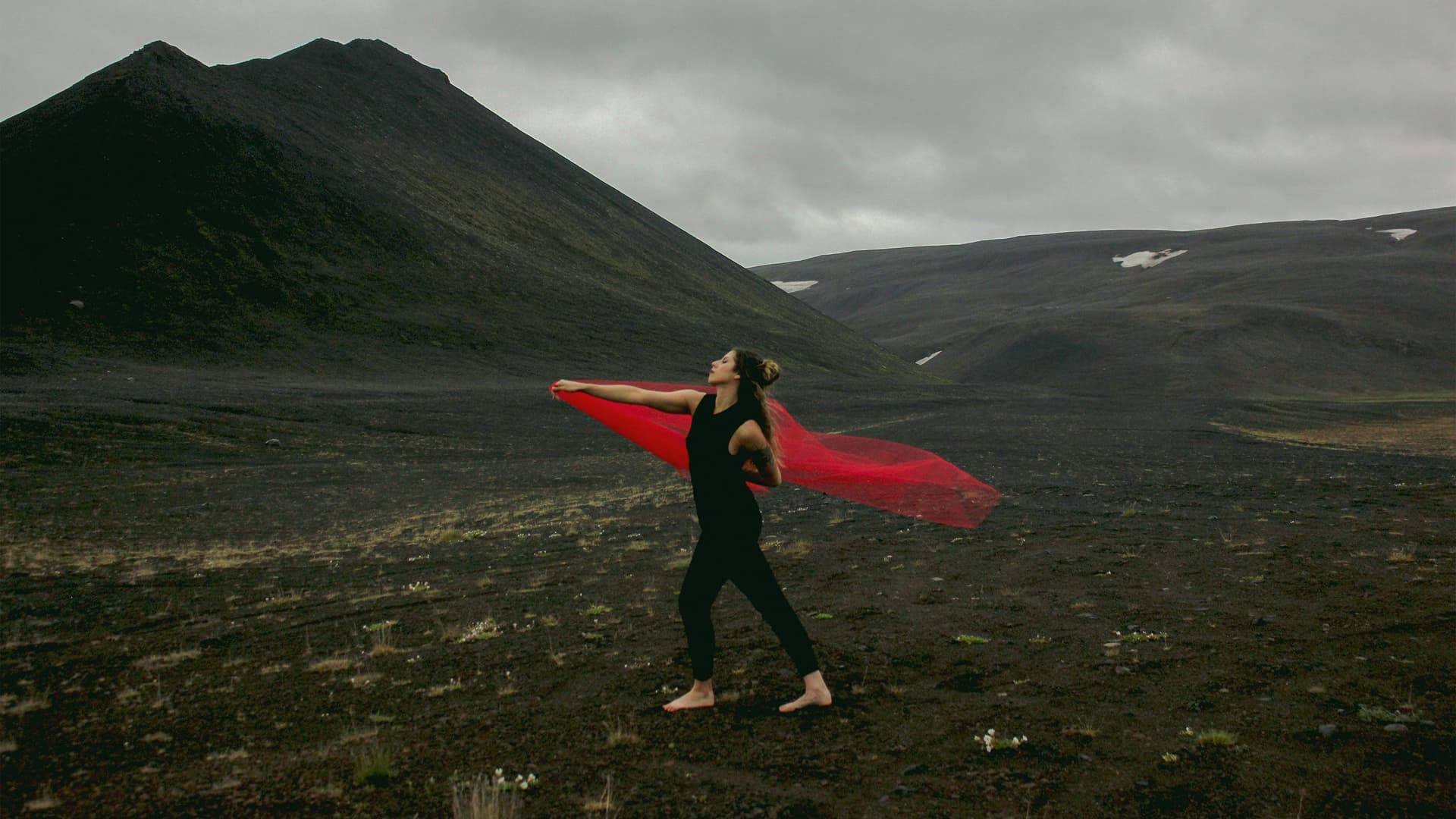 Hidden Eden backdrop