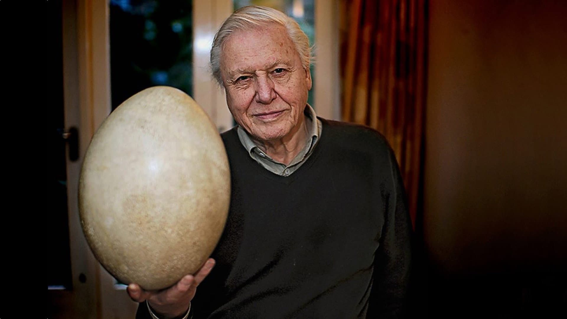 Attenborough and the Giant Egg backdrop