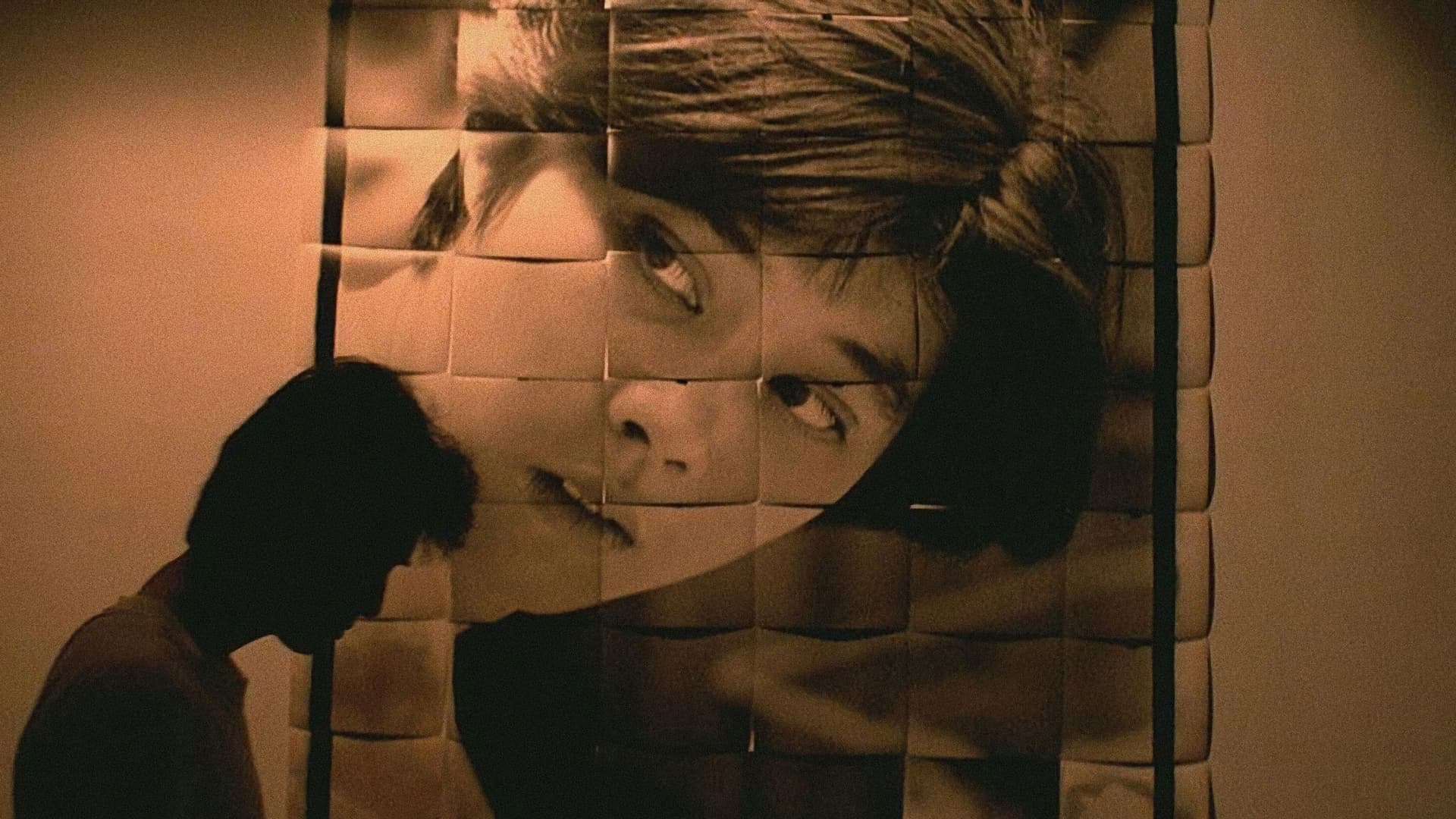 Terrorizers backdrop