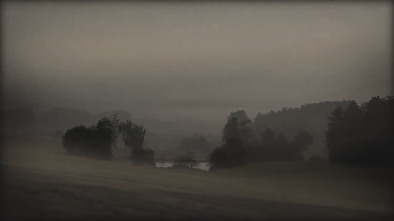 Blight Of Humanity backdrop